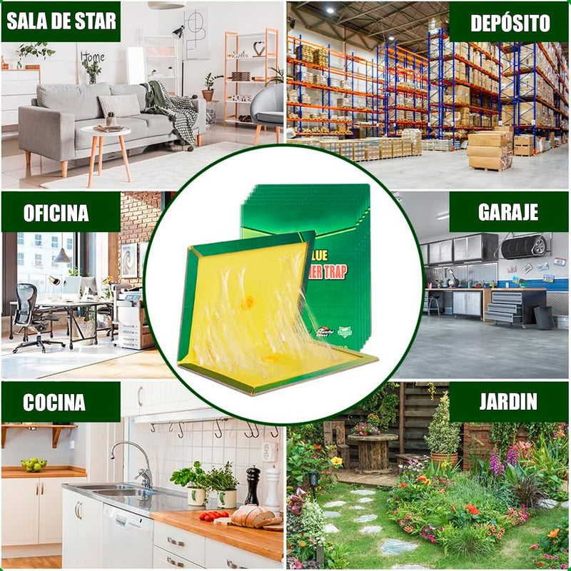 X10 Trampas Para Ratones Desratizacion Espanta Ratones Pega Verde