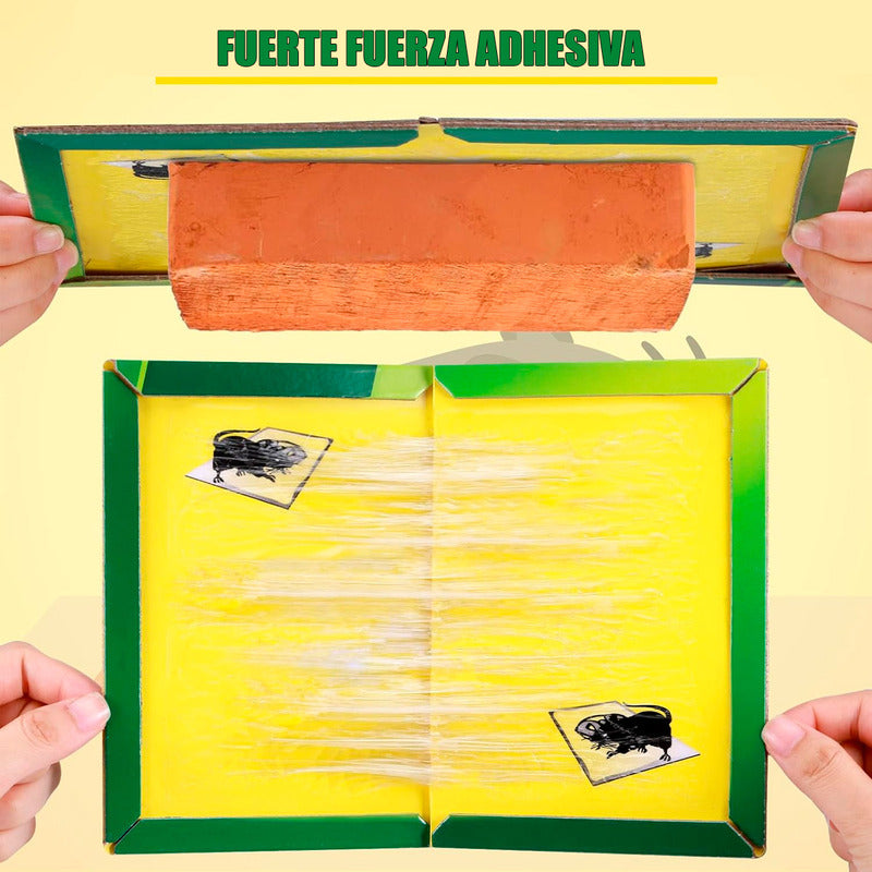 X10 Trampas Para Ratones Desratizacion Espanta Ratones Pega Verde