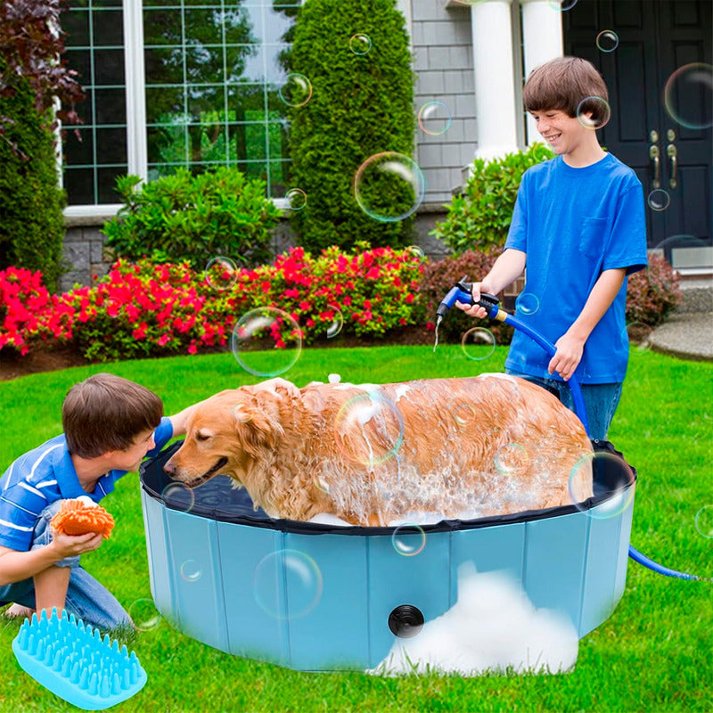 Piscina Para Perros Piscina Plegable Mascotas Perro 80x20cm