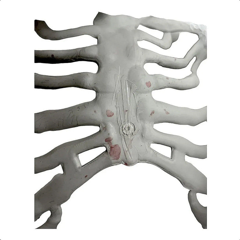 Monstruo Calavera Halloween Adorno Halloween Con Sonido