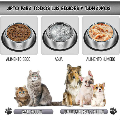 Pack 2 Plato Perro Comedero Perro Contenedor Comida Mascota Gris