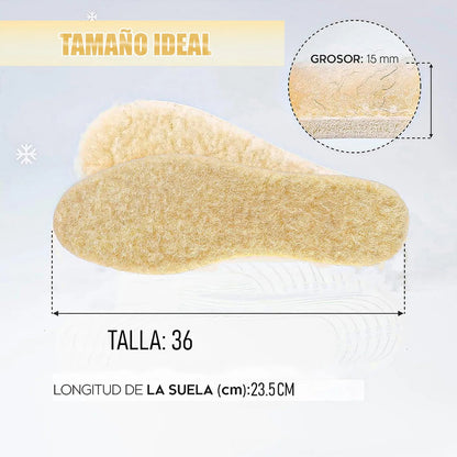 Pack 2 Plantillas Chiporro Plantillas Termicas Plantillas Talla 36