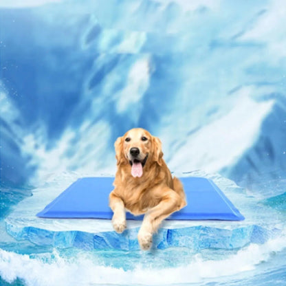 Manta Refrescante Manta Refrescante Para Perros 65x50 Md Cama Perro Impermeable Fria Okshop Cama Perro Mediano Manta Refrigerante Perro Cama Portable Perro Lavable Huella Azul