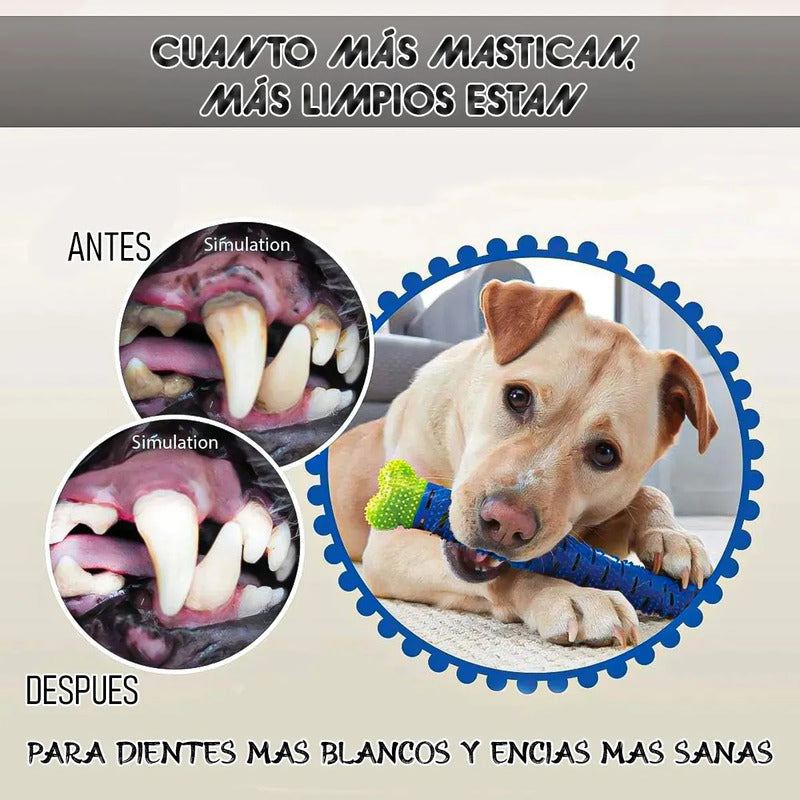 Limpiea Dientes Hueso Perro Hueso De Juguete Goma Limpiador Okshop Juguetes Masticables Juguetes De Dentición Con Púas Hueso De Juguete De Goma Uguete De Limpieza De Dientes Cepillo De Dientes Azul