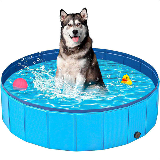 Piscina Para Perros Piscina Plegable Mascotas Perro 80x20cm