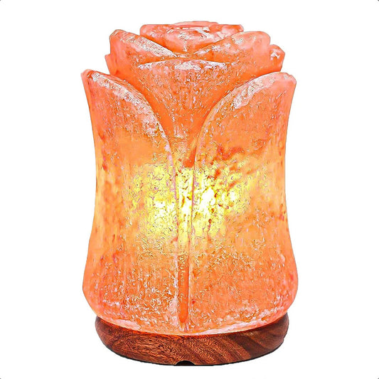 Lampara De Sal Himalaya Lampara De Sal Decorativa Forma Flor Naranja