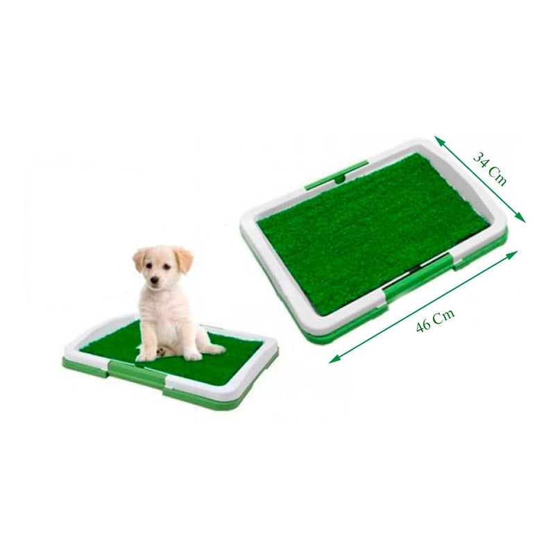 Baño Ecologico Perro Baño Sanitario Perro Baño Orine Perro Verde