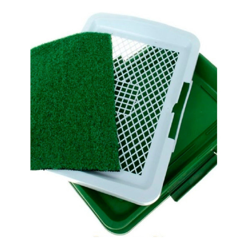 Baño Ecologico Perro Baño Sanitario Perro Baño Orine Perro Verde