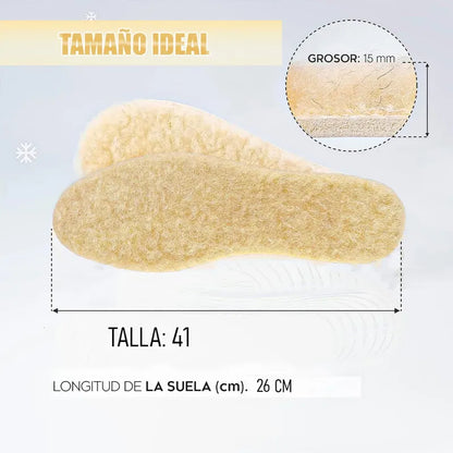 Pack 2 Plantillas Chiporro Plantillas Termicas Plantillas Talla 41