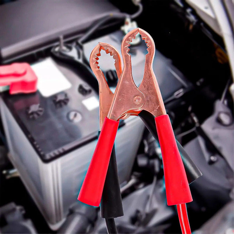 Cargador De Baterías Para Auto Y Moto 12v/24v Okshop