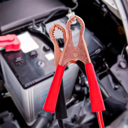 Cargador De Baterías Para Auto Y Moto 12v/24v Okshop
