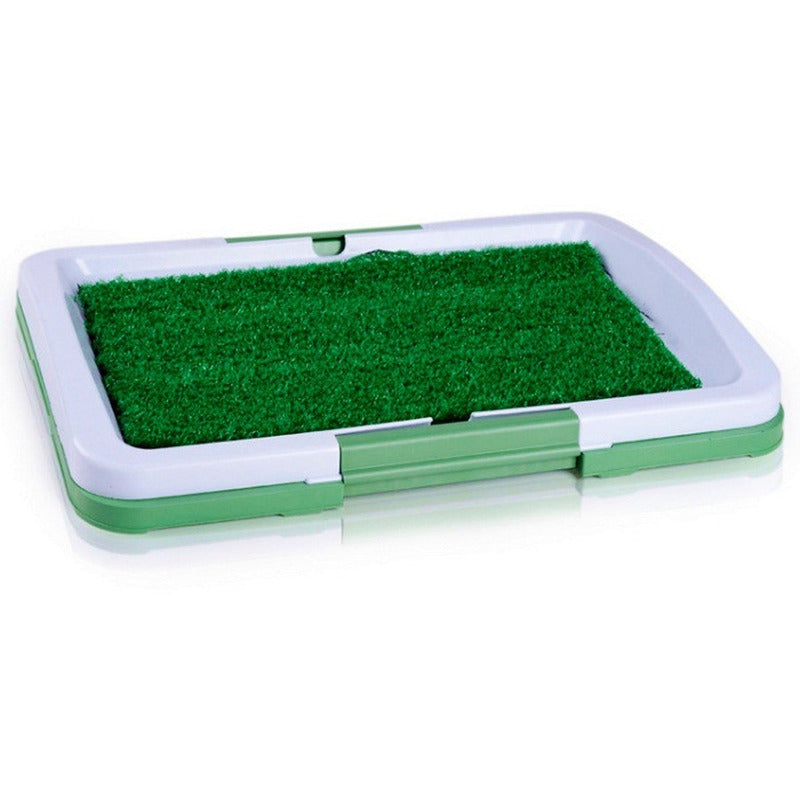 Baño Ecologico Perro Baño Sanitario Perro Baño Orine Perro Verde