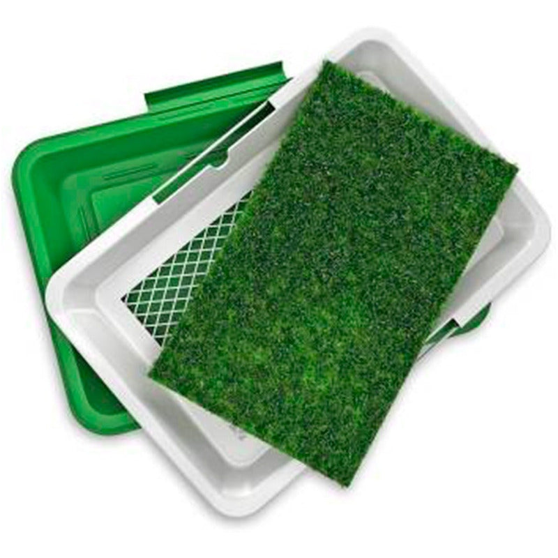 Baño Ecologico Perro Baño Sanitario Perro Baño Orine Perro Verde