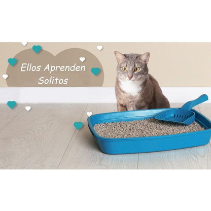 Arena Arenero Para Gatos Baño Sanitario Aromatizado 3.2 Kg