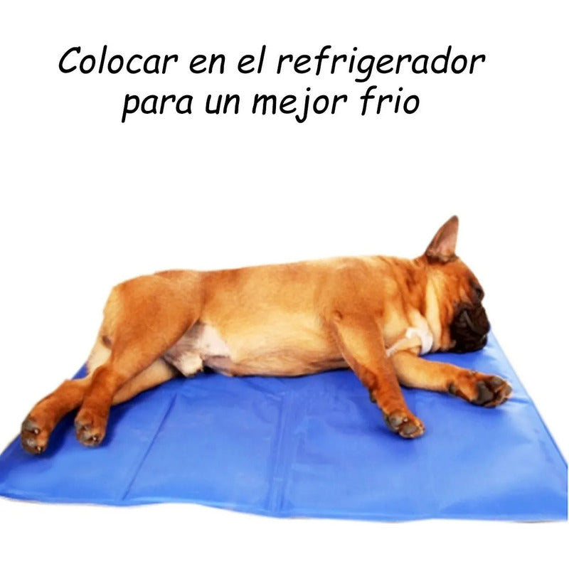 Manta Refrescante Manta Refrescante Para Perros 65x50 Md Cama Perro Impermeable Fria Okshop Cama Perro Mediano Manta Refrigerante Perro Cama Portable Perro Lavable Huella Azul