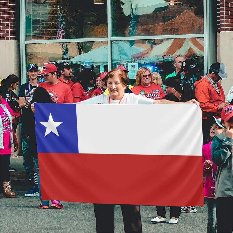 Pack X2 Bandera Chilena Bordada Banderas De Chile 135x90