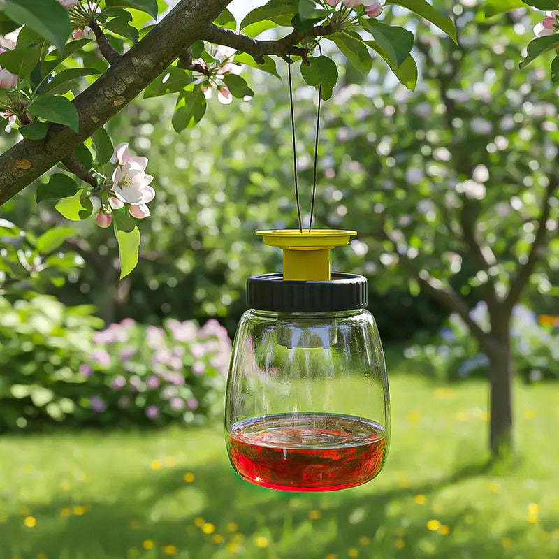 Trampa Para Avispas Trampa Insectos Trampa Avispas Ecologica