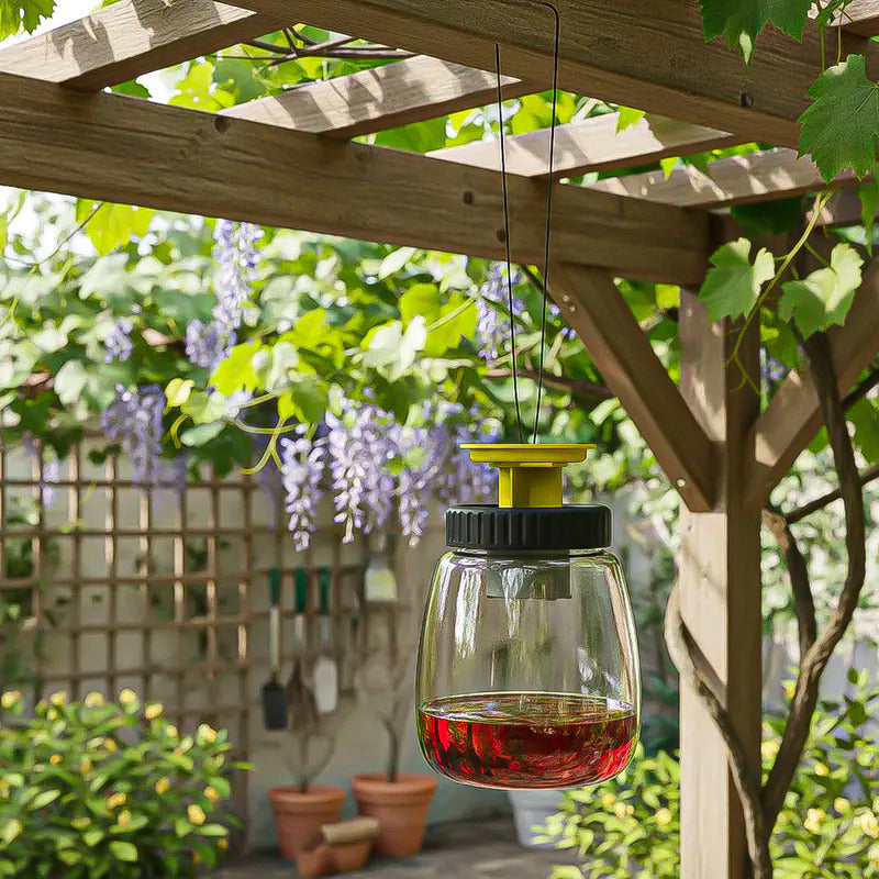 Trampa Para Avispas Trampa Insectos Trampa Avispas Ecologica