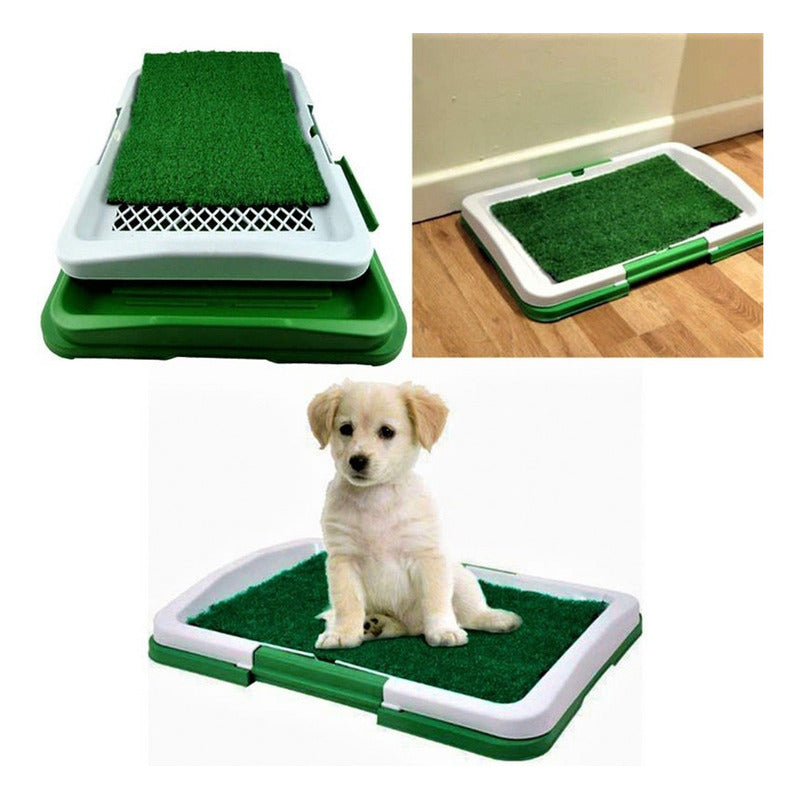 Baño Ecologico Perro Baño Sanitario Perro Baño Orine Perro Verde