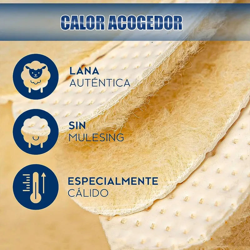 Pack 3 Plantillas Chiporro Plantillas Termicas Plantillas Talla 41