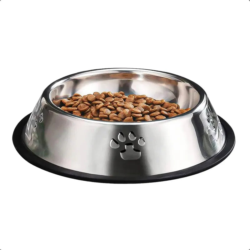 Plato Perro Comedero Perro Contenedor Comida Perro Platos Gris