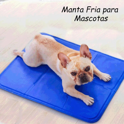 Manta Refrescante Manta Refrescante Para Perros 65x50 Md Cama Perro Impermeable Fria Okshop Cama Perro Mediano Manta Refrigerante Perro Cama Portable Perro Lavable Huella Azul