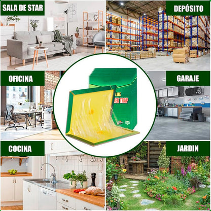 Trampas Para Ratones Desratizacion Espanta Ratones Pega Verde