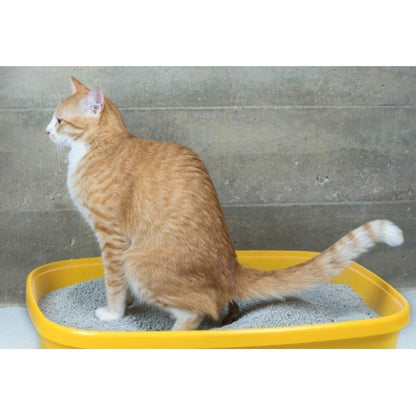 Arena Arenero Para Gatos Baño Sanitario Aromatizado 3.2 Kg