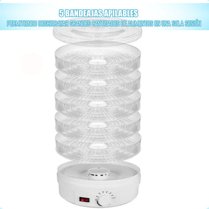 Deshidratadora De Alimentos Deshidratadora Frutas Electrico