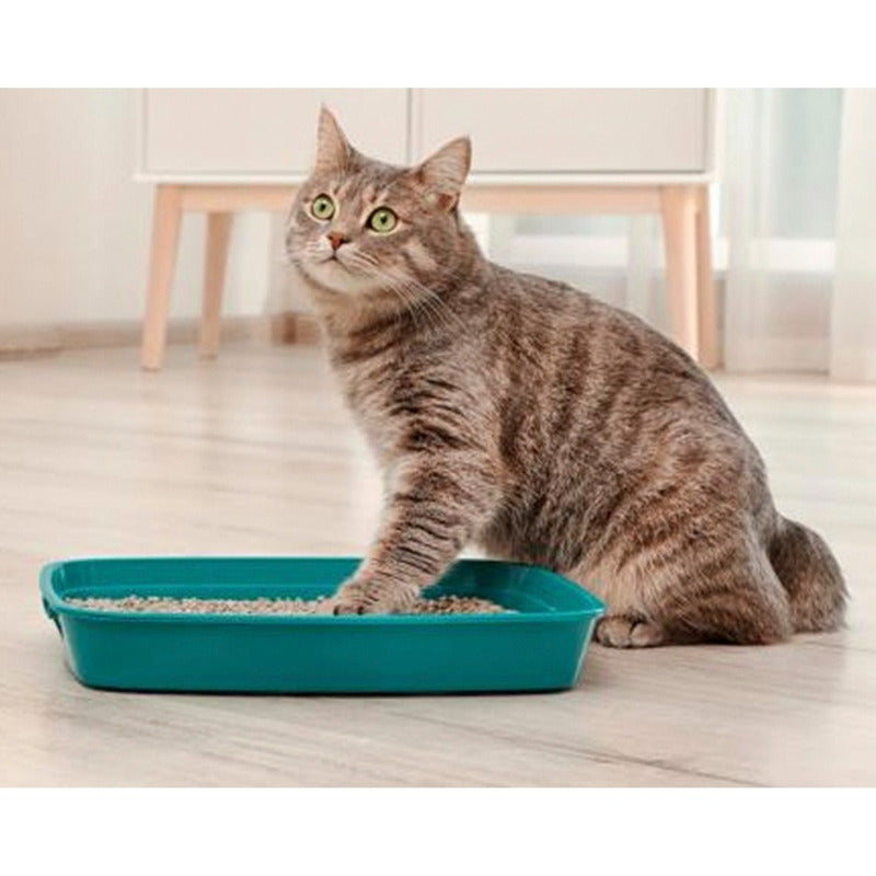 Arena Arenero Para Gatos Baño Sanitario Aromatizado 3.2 Kg