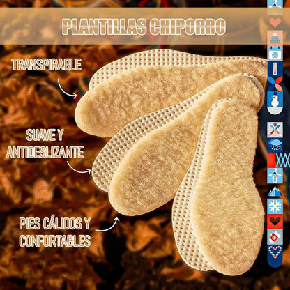 Pack 2 Plantillas Chiporro Plantillas Termicas Plantillas Talla 40