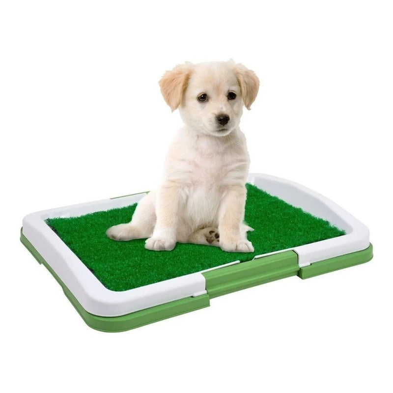 Baño Ecologico Perro Baño Sanitario Perro Baño Orine Perro Verde