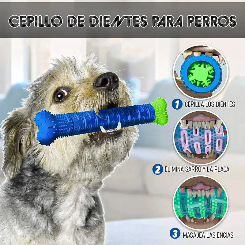 Limpiea Dientes Hueso Perro Hueso De Juguete Goma Limpiador Okshop Juguetes Masticables Juguetes De Dentición Con Púas Hueso De Juguete De Goma Uguete De Limpieza De Dientes Cepillo De Dientes Azul
