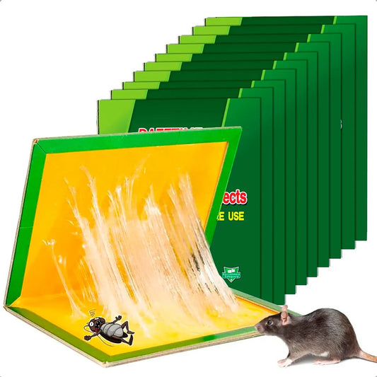 Trampa Ratones Pegajosa Desratizacion Control Rata Repelentes Rata Desratizacion Carton Adhesivo Pack 10 Trampa Raton Pegajosa Adhesiva Control Atrapa Pegamento Trampas Para Ratones Okshop