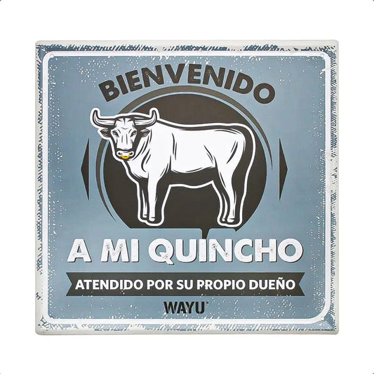 Cuadro Decorativo Wayu Cuadro Pared Cuadro Metalico 25x25cm Metálico