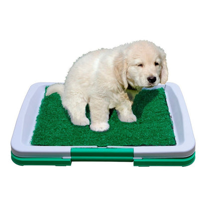 Baño Ecologico Perro Baño Sanitario Perro Baño Orine Perro Verde